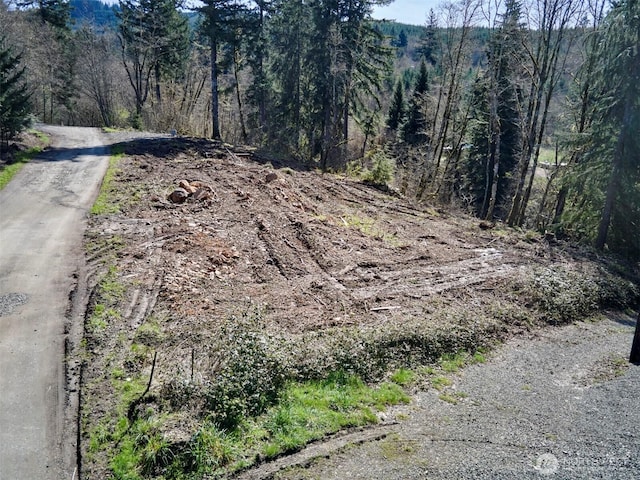 140 Skinner Rd, Woodland, WA 98674 - photo 4