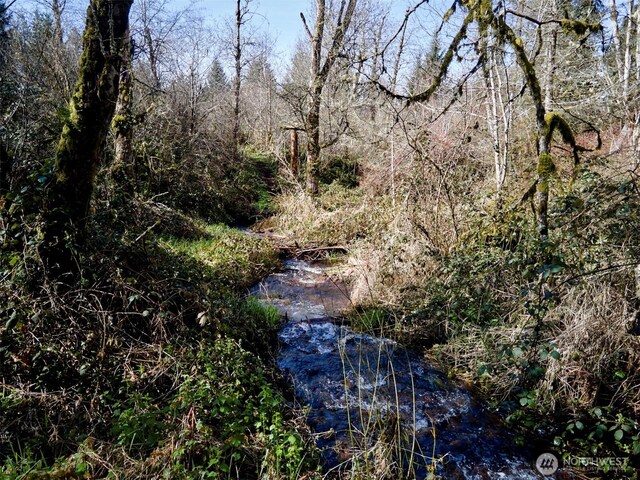 140 Skinner Rd, Woodland, WA 98674 - photo 6