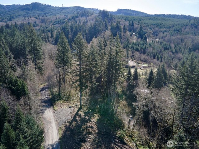 140 Skinner Rd, Woodland, WA 98674 - photo 9