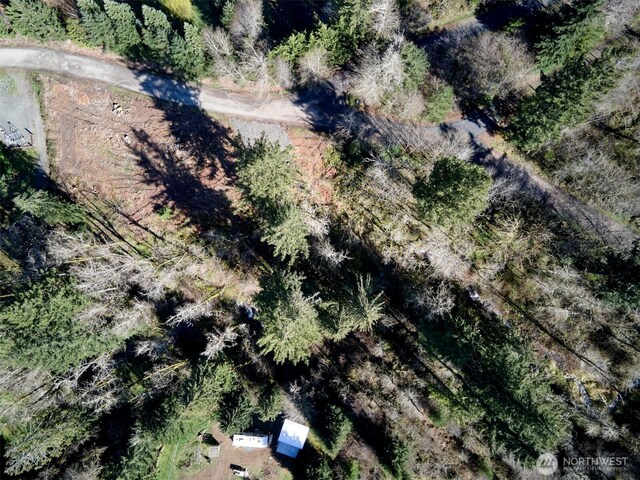 140 Skinner Rd, Woodland, WA 98674 - photo 11