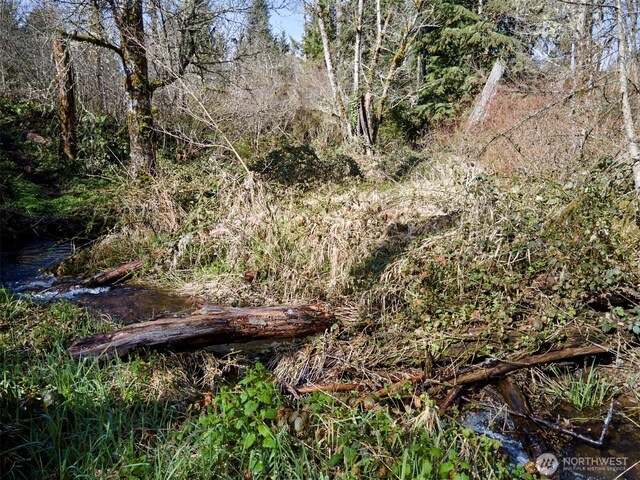 140 Skinner Rd, Woodland, WA 98674 - photo 12