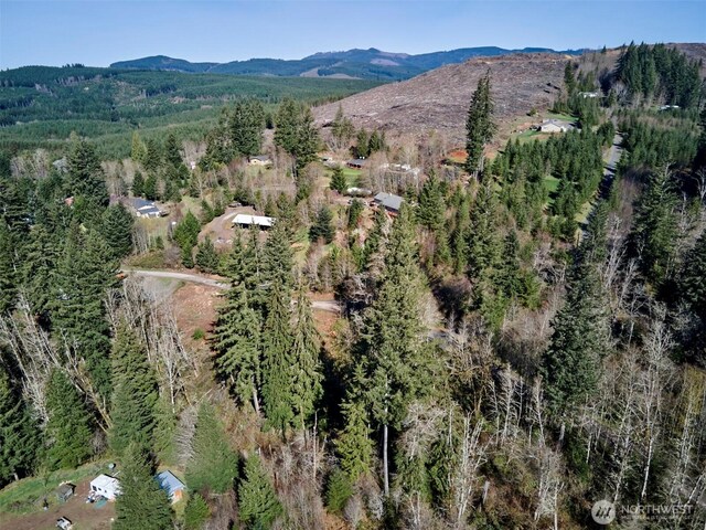 140 Skinner Rd, Woodland, WA 98674 - photo 14
