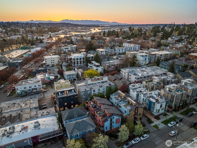 birds eye view of property with a mountain view