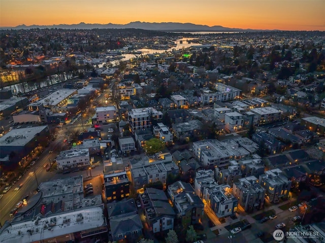bird's eye view