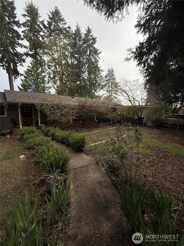 4709 SE 26th Ave, Lacey, WA 98503 - view of yard