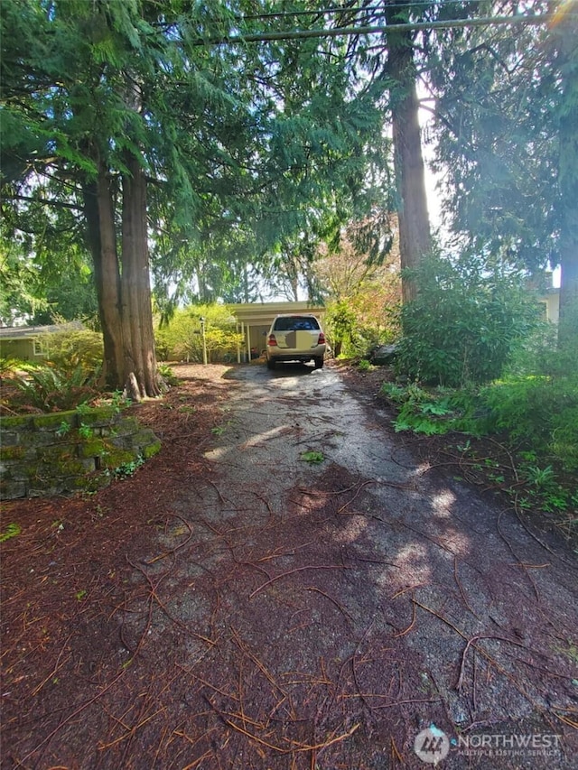 4709 SE 26th Ave, Lacey, WA 98503 - view of yard featuring driveway and a carport