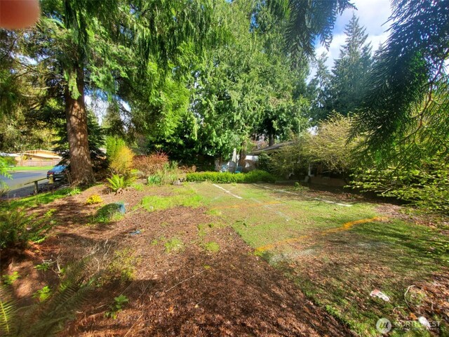 4709 SE 26th Ave, Lacey, WA 98503 - view of yard
