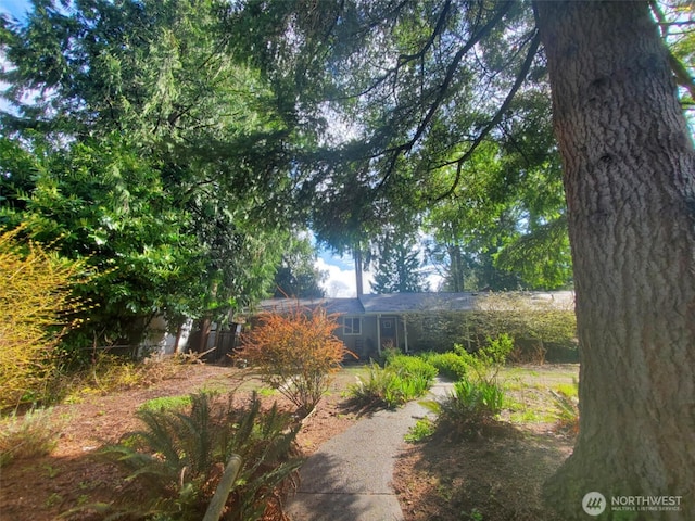 4709 SE 26th Ave, Lacey, WA 98503 - view of yard