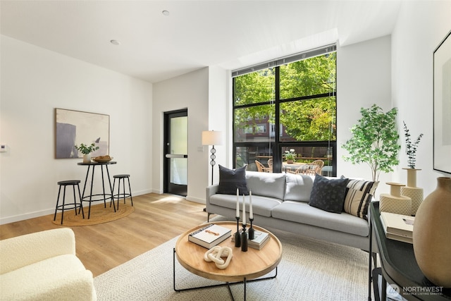 living area featuring baseboards and wood finished floors
