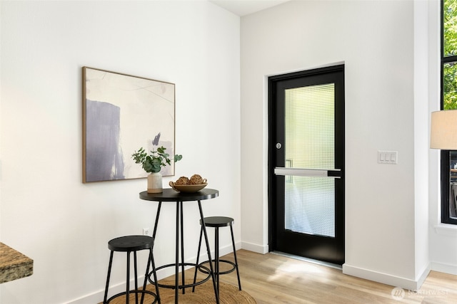 foyer entrance with baseboards and wood finished floors
