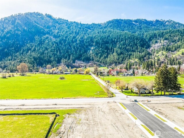 109 Alpenglow Dr, Leavenworth, WA 98826 - photo 6