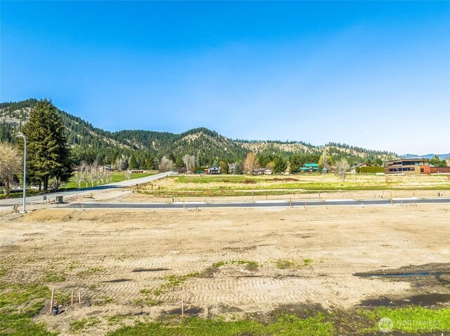 109 Alpenglow Dr, Leavenworth, WA 98826 - photo 10