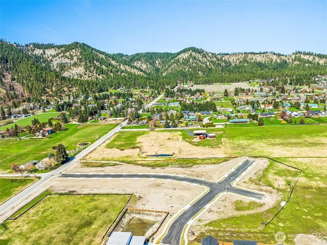 109 Alpenglow Dr, Leavenworth, WA 98826 - photo 14