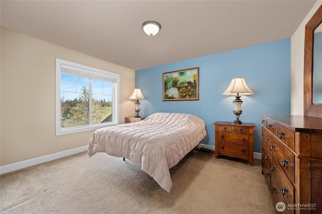 14394 Roadrunner Ln, Burlington, WA 98233 - photo 26