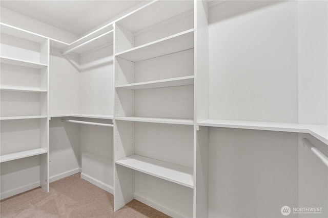 walk in closet with carpet flooring