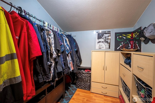 spacious closet with light wood-style floors