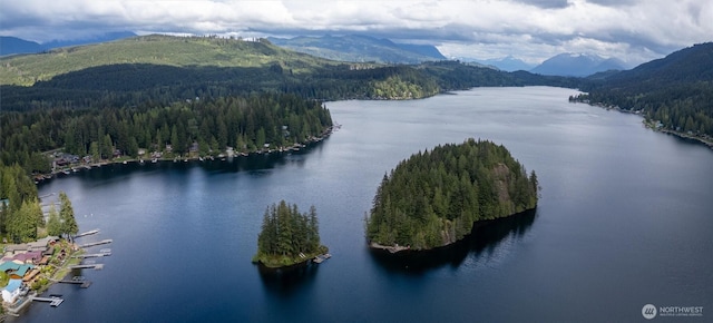 bird's eye view of a water and mountain view and a heavily wooded area