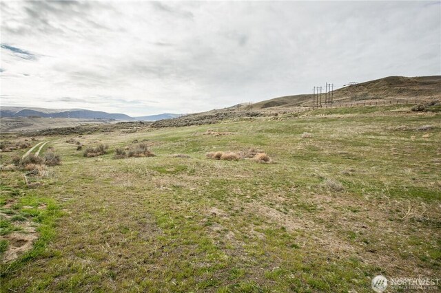 133 Rabbit Rock Ln, Malaga, WA 98828 - photo 12