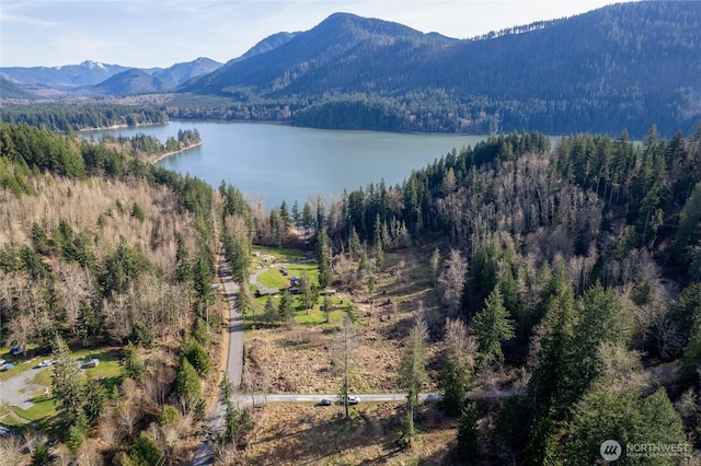0 524th St E, Eatonville, WA 98328