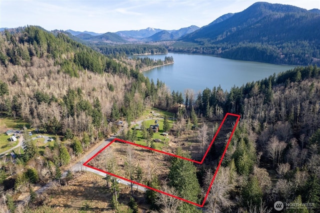 0 524th St E, Eatonville, WA 98328