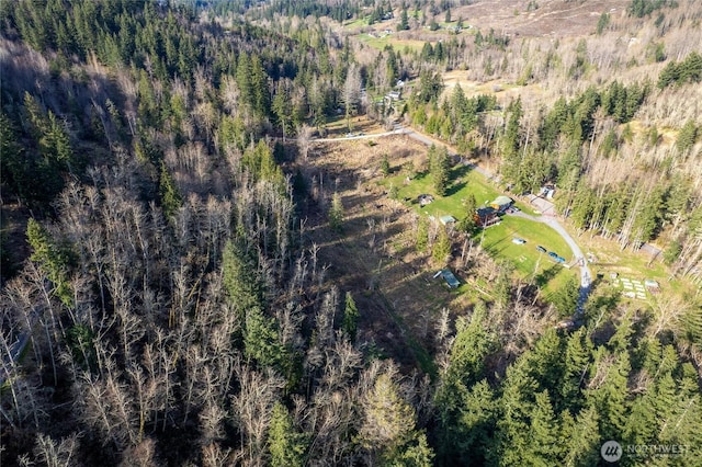 0 524th St E, Eatonville, WA 98328