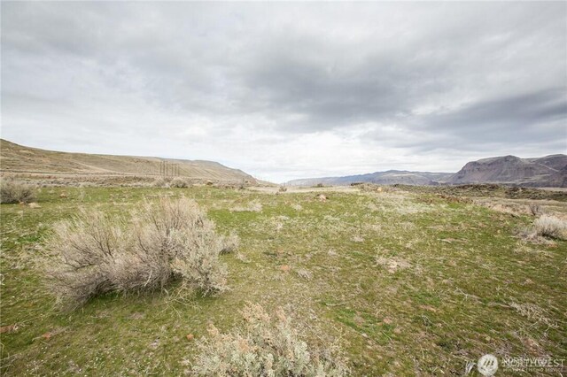 738 Ravens Home Ln Lot 3, Malaga, WA 98828 - photo 6