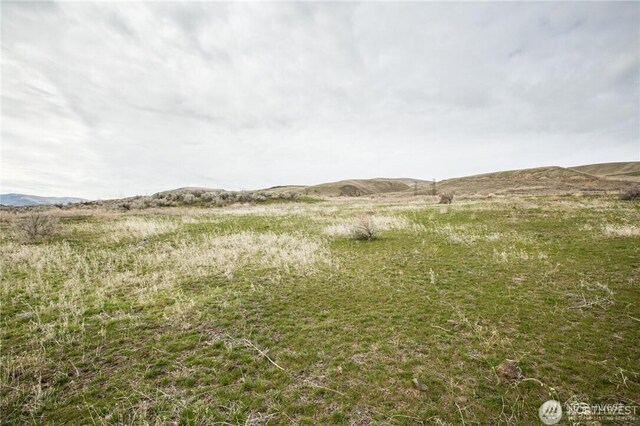738 Ravens Home Ln Lot 3, Malaga, WA 98828 - photo 7
