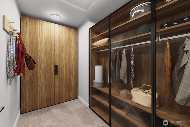 7872 198th Avenue Pl E, Bonney Lake, WA 98391 - walk in closet with light colored carpet