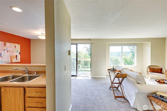 living area featuring light colored carpet, a textured ceiling, and baseboards