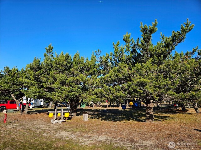707 347th Pl, Ocean Park, WA 98640 - photo 2