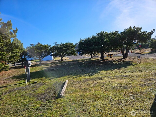 707 347th Pl, Ocean Park, WA 98640 - photo 5