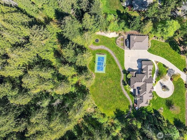 bird's eye view