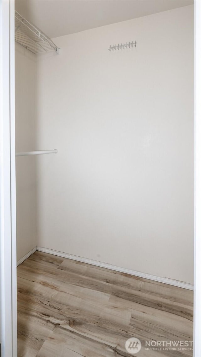 walk in closet featuring wood finished floors