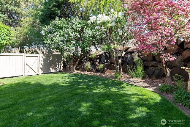 view of yard