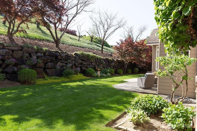 view of green lawn