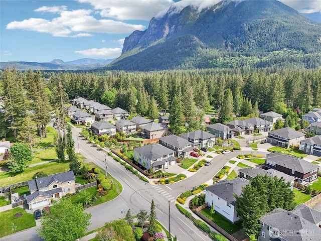 aerial perspective of suburban area with a mountain backdrop and a forest