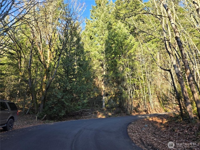 116XX 198th Ave E, Issaquah, WA 98027