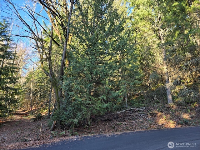 116XX 198th Ave E, Issaquah, WA 98027