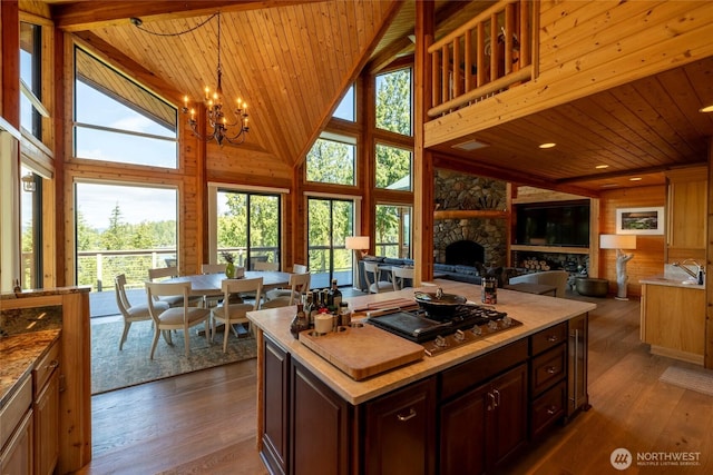 121 Marine Dr, Blakely Island, WA 98222 - kitchen featuring a fireplace, stainless steel gas cooktop, wood ceiling, and dark wood finished floors