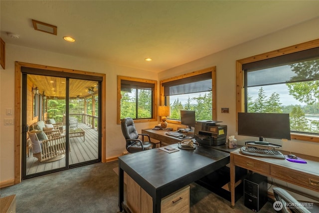 121 Marine Dr, Blakely Island, WA 98222 - office space featuring recessed lighting, baseboards, and dark carpet