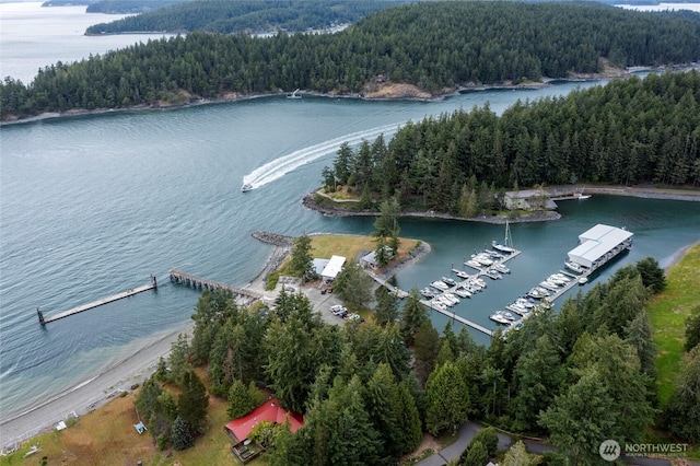121 Marine Dr, Blakely Island, WA 98222 - aerial view with a water view and a forest view