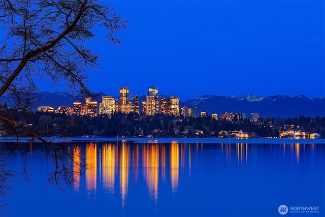 180 Lake Washington Blvd E, Seattle, WA 98112 - view of water feature with a view of city lights