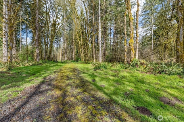 171 Deer Park Ln, Toledo, WA 98591
