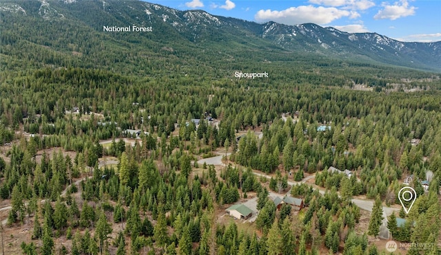 drone / aerial view with a view of trees and a mountain view