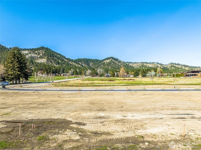115 Alpenglow Dr, Leavenworth, WA 98826 - photo 4
