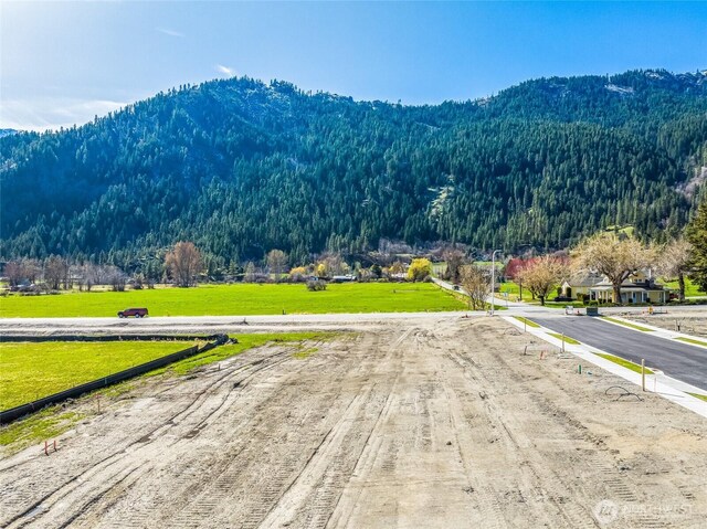 115 Alpenglow Dr, Leavenworth, WA 98826 - photo 5