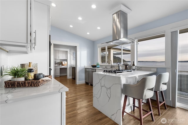 kitchen featuring island exhaust hood, a peninsula, wood finished floors, stainless steel appliances, and light stone countertops