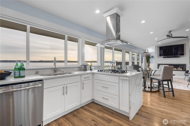 kitchen featuring a sink, ventilation hood, dark wood finished floors, white cabinetry, and stainless steel appliances