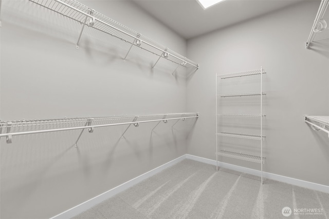 18122 83rd Ave NE, Kenmore, WA 98028 - walk in closet featuring light carpet