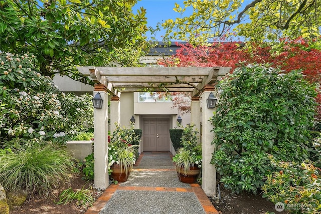 property entrance featuring a pergola and stucco siding